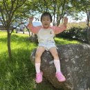 꿈꾸는푸른도서관 이미지