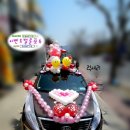 이벤트벌룬포유 이미지
