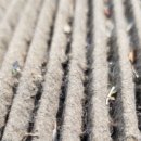 플러스카센타 이미지