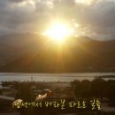 가나안펜션 이미지