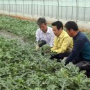 민선6기 2주년, 전동평 군수에 듣는다 이미지