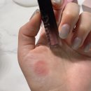 않았으면 하는 인생틴트 올리브영에서도 만날 수 있는 모데스티아 아베마리아 메멘토모리 피데스 발색후기