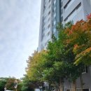 율하초등학교 이미지