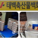 태백축산물백화점 이미지