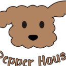 건강하개 수제간식 이미지