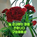 건강하세요