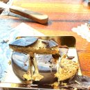 두바이 노래연습장 이미지