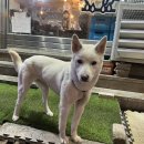 테라스룸소주방