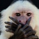 반제 | 반제 2 봐서 후기 쓰려고 했는데 귀찮아서 그냥 대충 쓰는 글