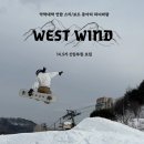 ⭐️약학대학 스키/스노우 보드 동아리 '하늬바람'⛷🏂에서 14.5기 신입회원을 모집합니다!⭐️ 이미지