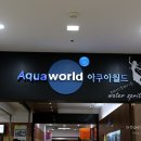아쿠아노래연습장 이미지