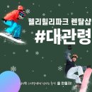 웰리힐리파크스키강습아카데미 | 웰리힐리파크 스키강습 어린이 장비대여 렌탈샵 보드강습 후기 총정리