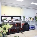 세무회계평