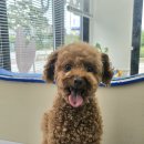 멍무드 살롱 이미지