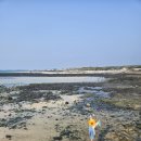 마중 | 제주 서쪽 숙소 '제주마중' 늦은 후기