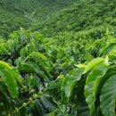 우림교역 이미지