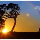 프로포즈 이미지