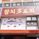 참치스타그램 이미지