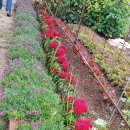 재동농장 티스토리