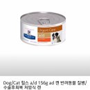 잠실종합동물병원 이미지