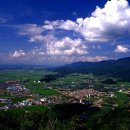 남양초등학교 이미지