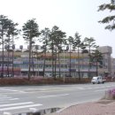 차사랑컨설팅