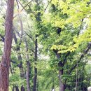 책과 함께하는 동화나라 이미지