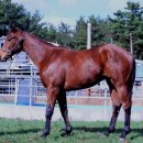 부연목장 이미지