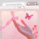 대운 스포티비뉴스
