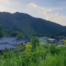 대곡관광지 이미지