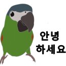 쎄미곱창 이미지