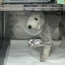 털로덮인친구들 동탄북광장점 이미지