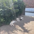 섬게스트하우스 이미지