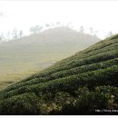 해무펜션민박 이미지