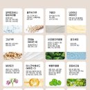 프리미엄워시