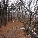 한내여자중학교 이미지