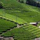 우지농장 이미지