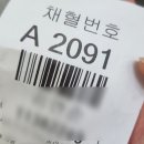 맑은동산단기보호센터 | 십이지장 선종 제거 후기 | 세브란스 내시경 시술부터 입원·간호까지 총정리