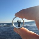 월포 공영주차장 화장실 | [국내여행] 포항 여행 2박 3일 코스 추천 호미곶, 1일차 숙소 씨앤뷰풀빌라