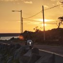 낙원의밤 이미지