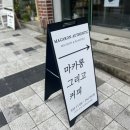 마카롱어센틱 이미지