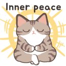 편하개 놀다가냥 이미지