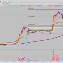 엘에스엠컴퍼니 이미지