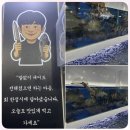 국수궁전 | 부산 교대 맛집 궁전활어 :: 싱싱한 대방어+연어 모둠회 먹고온 후기 (구 OK도매횟집 연산점)
