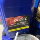 SST | 포르텍 듀얼클러치 미션오일 사용후기 AT,DCT,DSG,PDK,SST