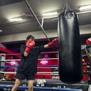 이재성복싱 이미지