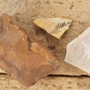 (주)화석자동차 이미지