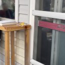 동쪽식당 | 제주도 동쪽 구좌읍 맛집 으뜨미 식당 리뷰 / 후기