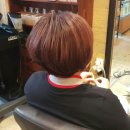 헤어뮤즈 이미지