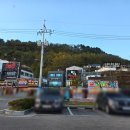 다원해 | 영덕 대게 맛집 가격 시세 대게원해 내돈내산